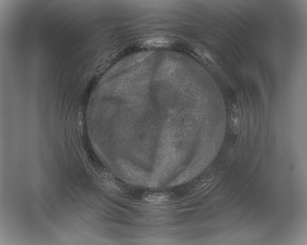 X0000062170551200512231629