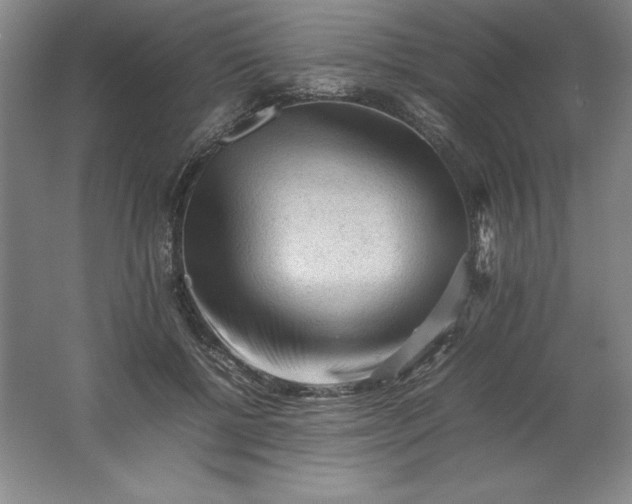 X0000062170552200512231629