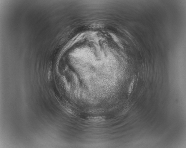 X0000062170553200512231629