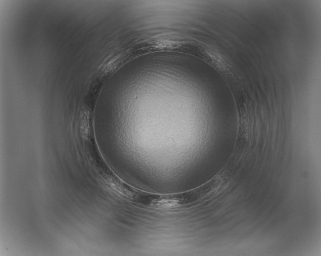 X0000062170554200512231629