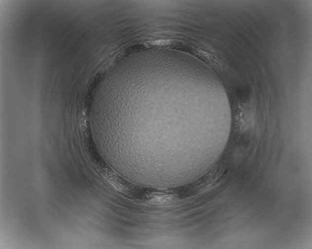 X0000062170555200512231629