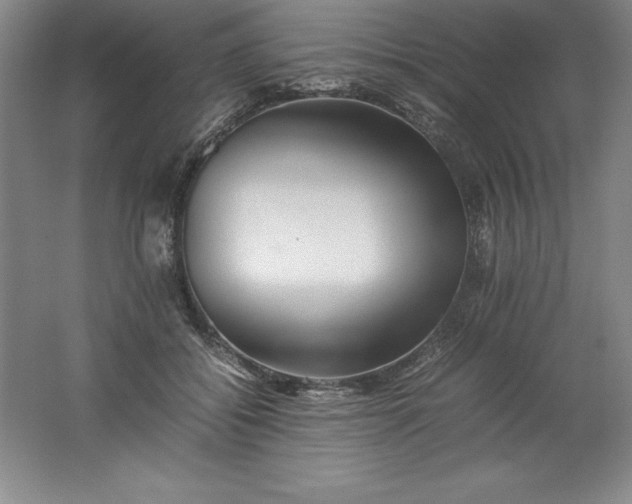 X0000062170556200512231629