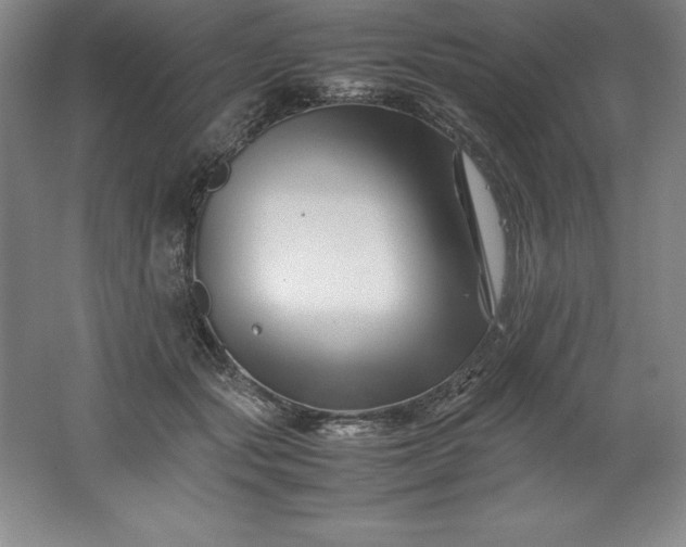 X0000062170557200512231629