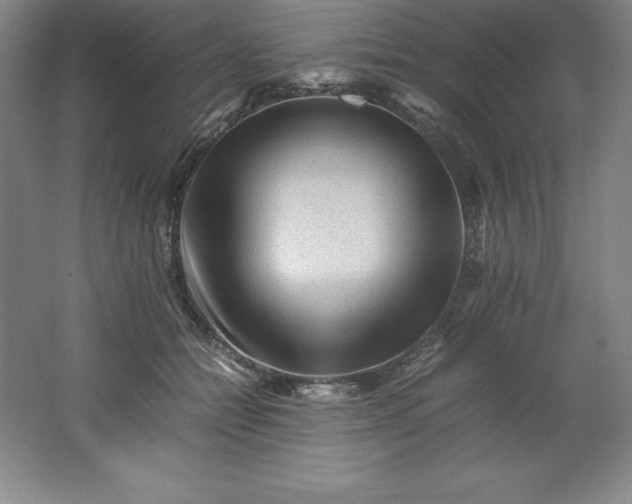 X0000062170558200512231629