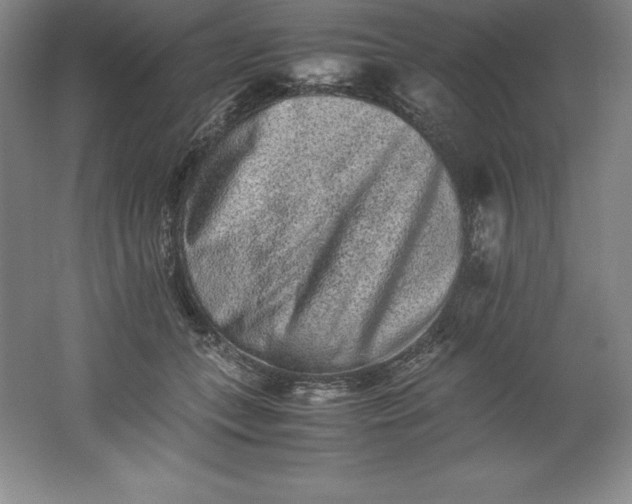 X0000062170559200512231629