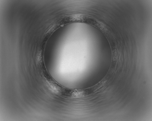 X0000062170560200512231629