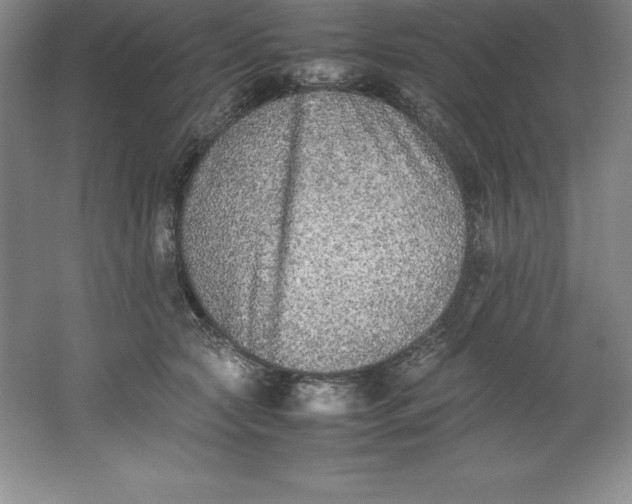 X0000062170561200512231629