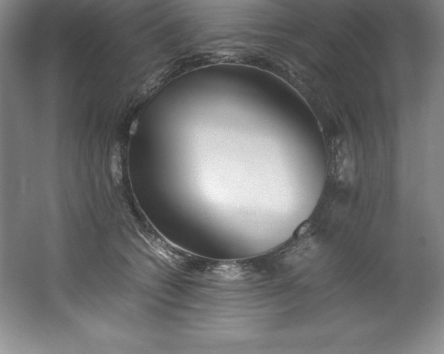 X0000062170562200512231629