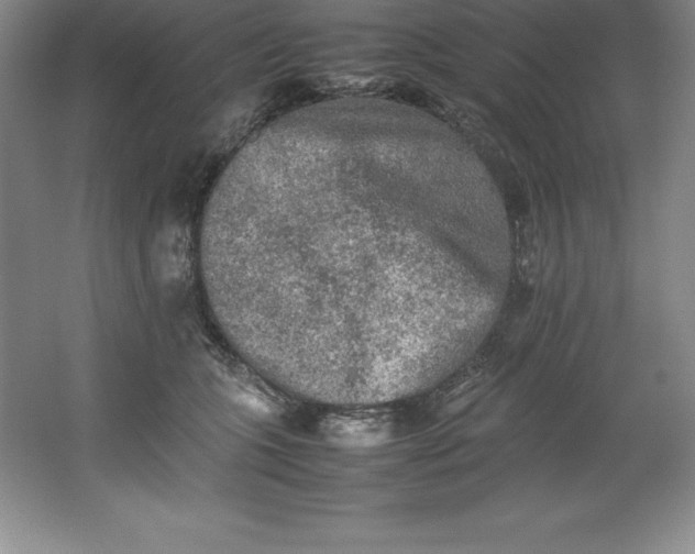 X0000062170563200512231629