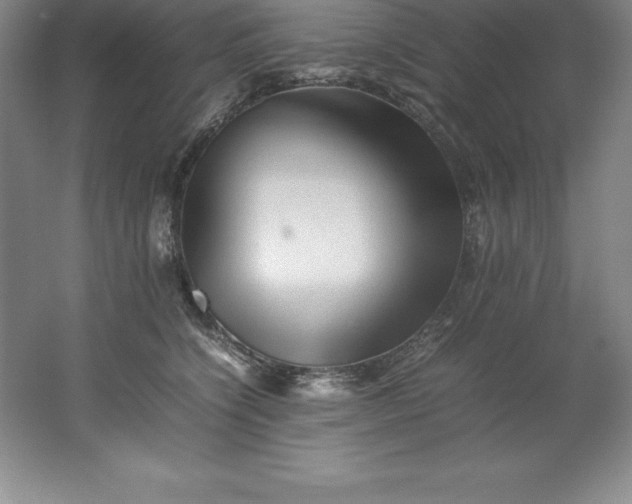 X0000062170564200512231629