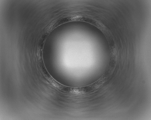 X0000062170565200512231629