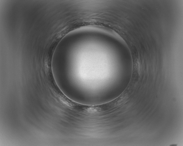 X0000062170566200512231629