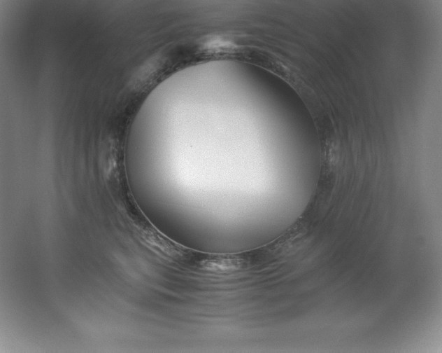 X0000062170567200512231629