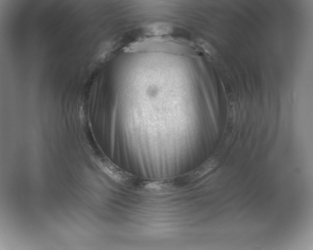 X0000062170568200512231629