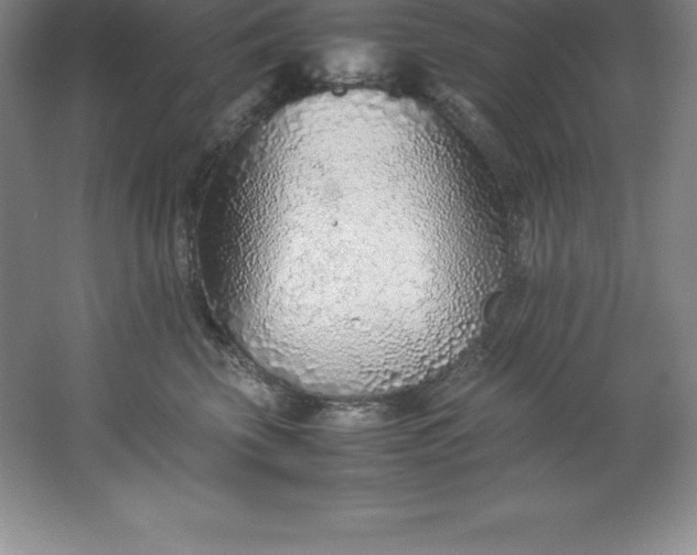 X0000062170569200512231629