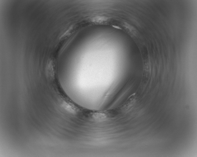 X0000062170572200512231629