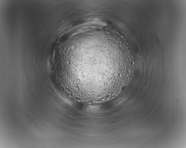 X0000062170573200512231629