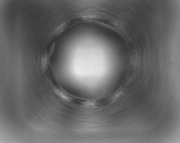 X0000062170574200512231629