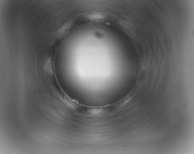 X0000062170575200512231629