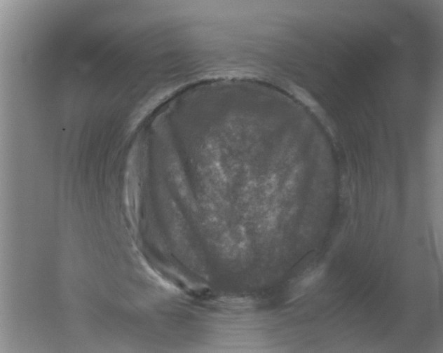 X0000062170577200512231629