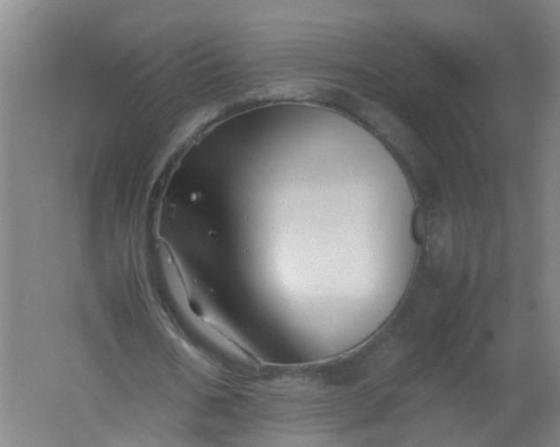 X0000062170578200512231628