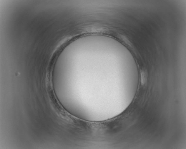 X0000062170579200512231628