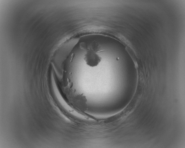 X0000062170581200512231628