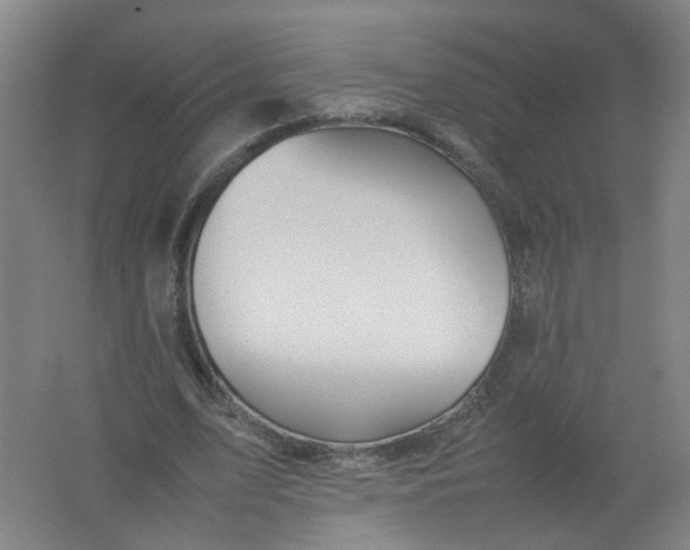 X0000062170583200512231628