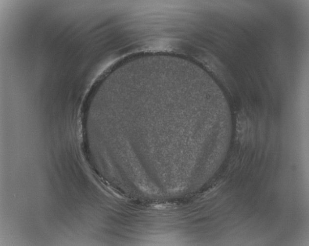 X0000062170584200512231628