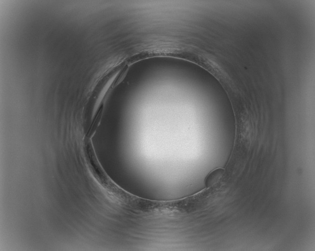 X0000062170586200512231628