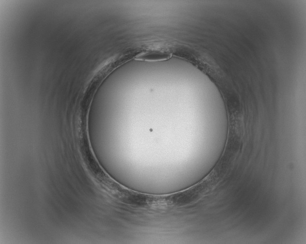 X0000062170587200512231628