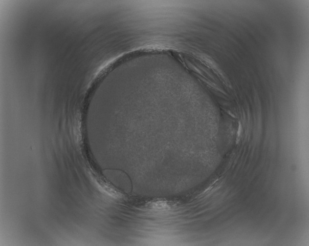 X0000062170588200512231628