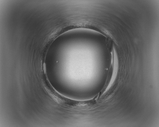 X0000062170589200512231628