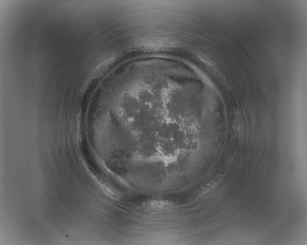 X0000062170590200512231628