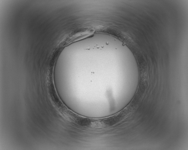 X0000062170591200512231628