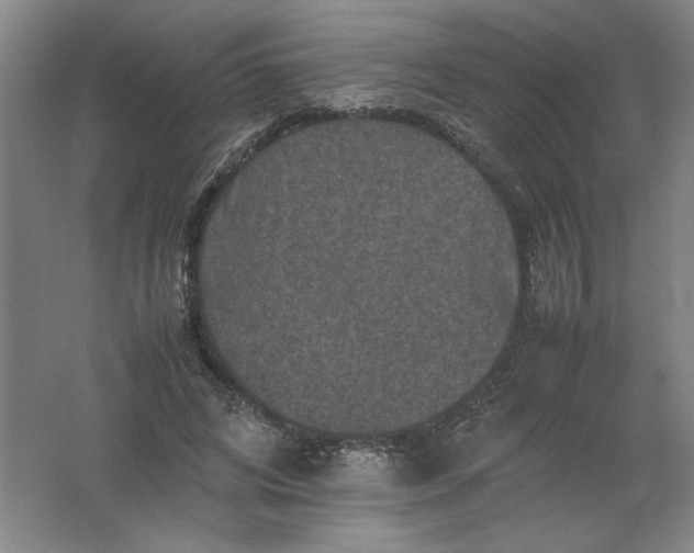 X0000062170592200512231628