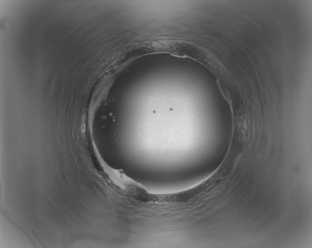 X0000062170593200512231628