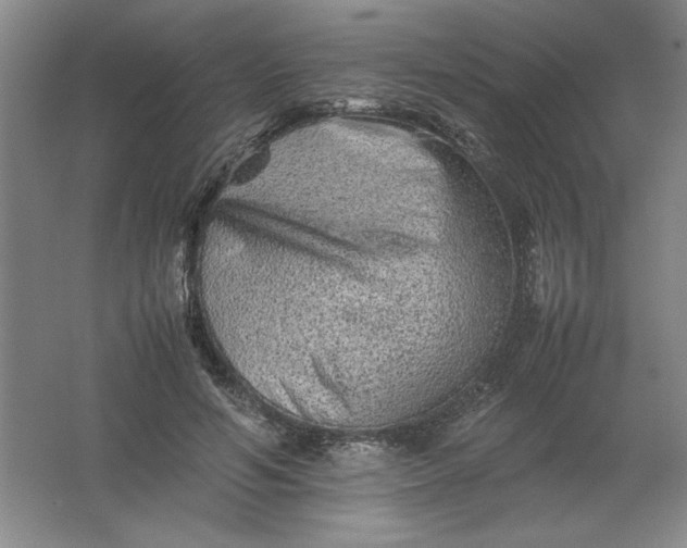 X0000062170594200512231628