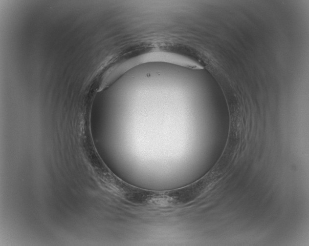 X0000062170595200512231628