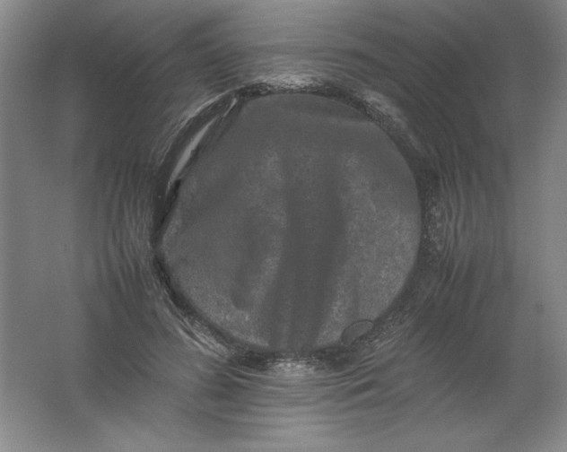 X0000062170596200512231628