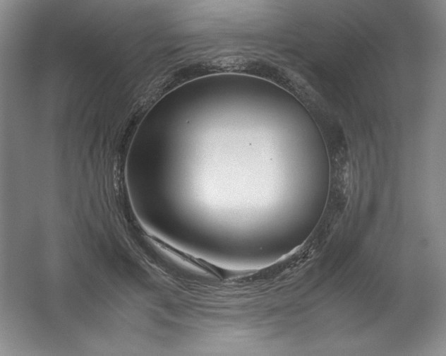 X0000062170597200512231628