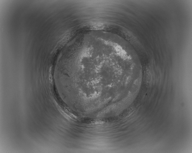 X0000062170598200512231628