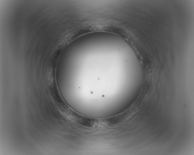 X0000062170599200512231628