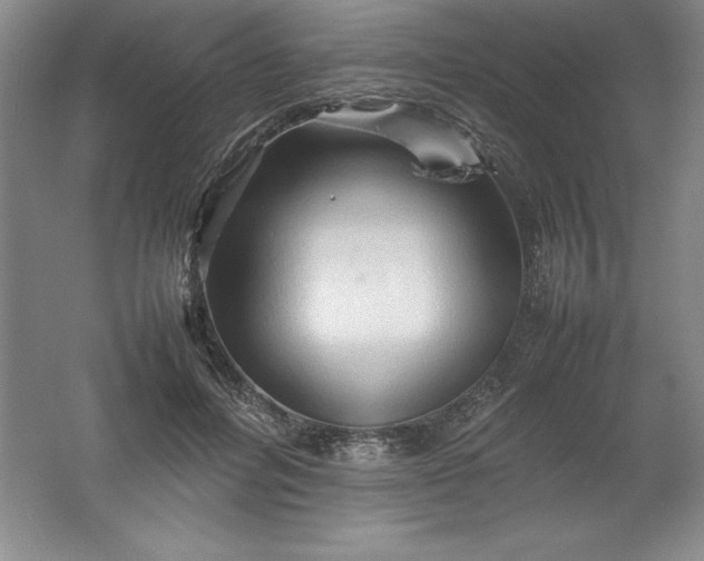 X0000062170600200512231628