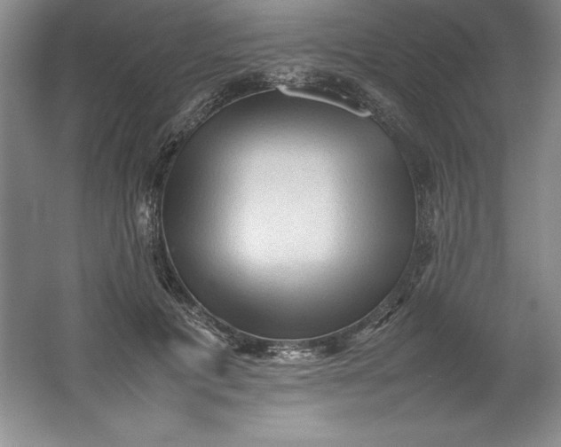 X0000062170601200512231628