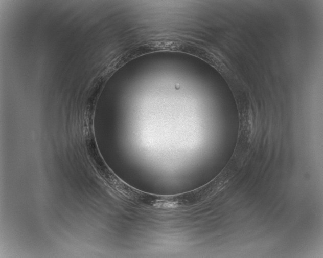 X0000062170602200512231628