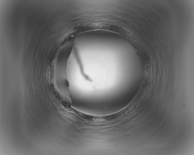 X0000062170605200512231628