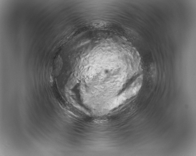 X0000062170606200512231628