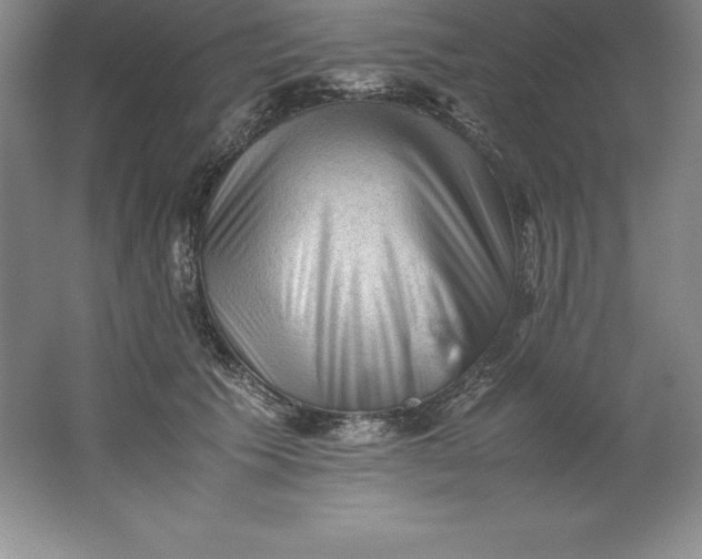 X0000062170609200512231628