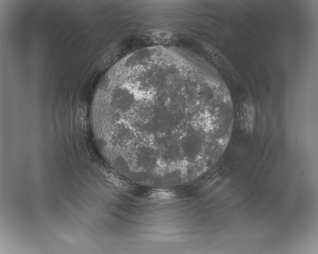 X0000062170610200512231628